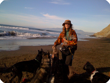 Ruth Jensen at Fort Funston with the dogs she walks